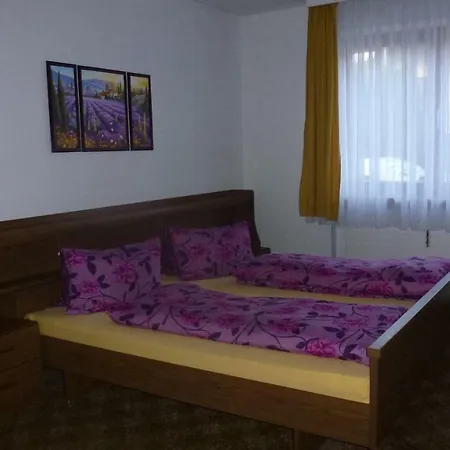 Apartement Hasenauer Fieberbrunn Exteriér fotografie