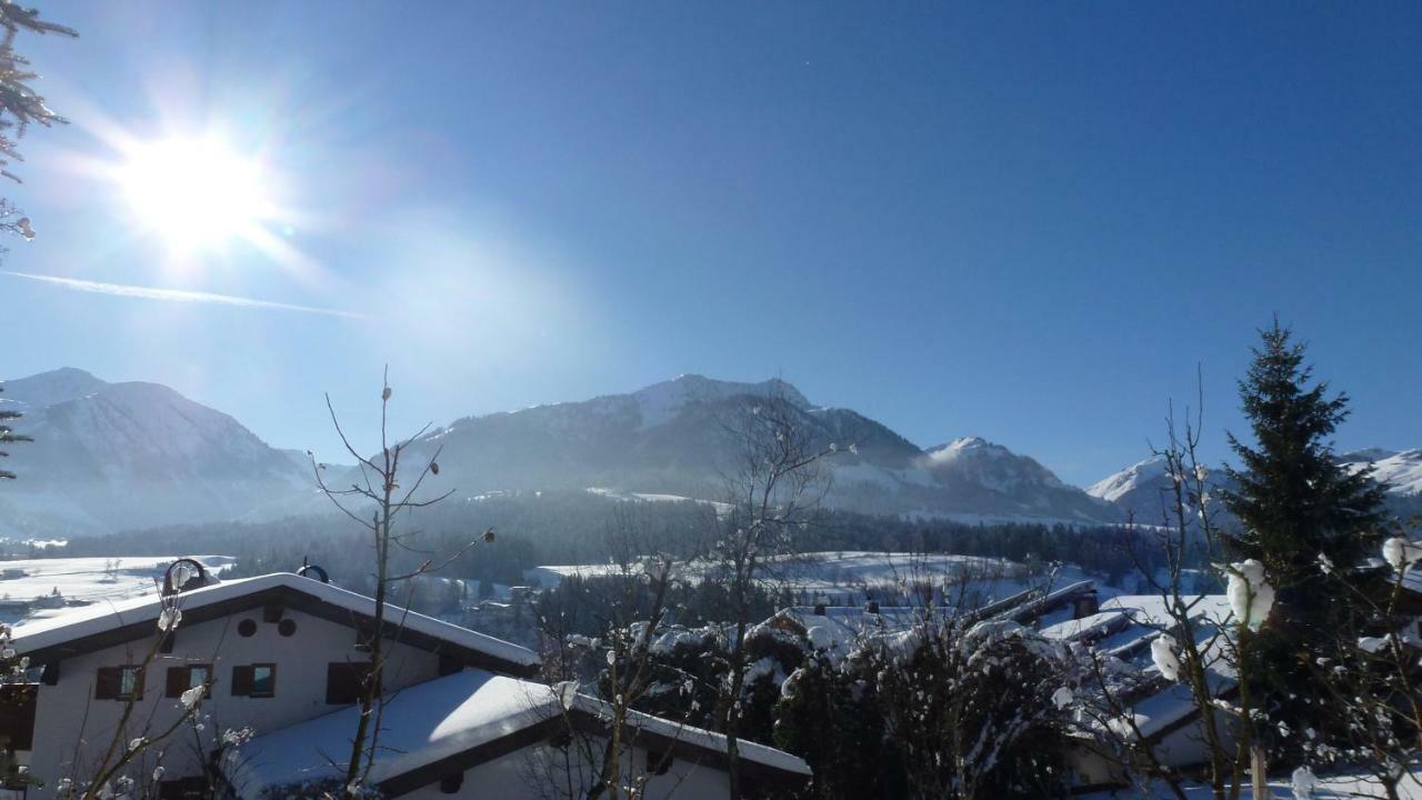 Hasenauer *